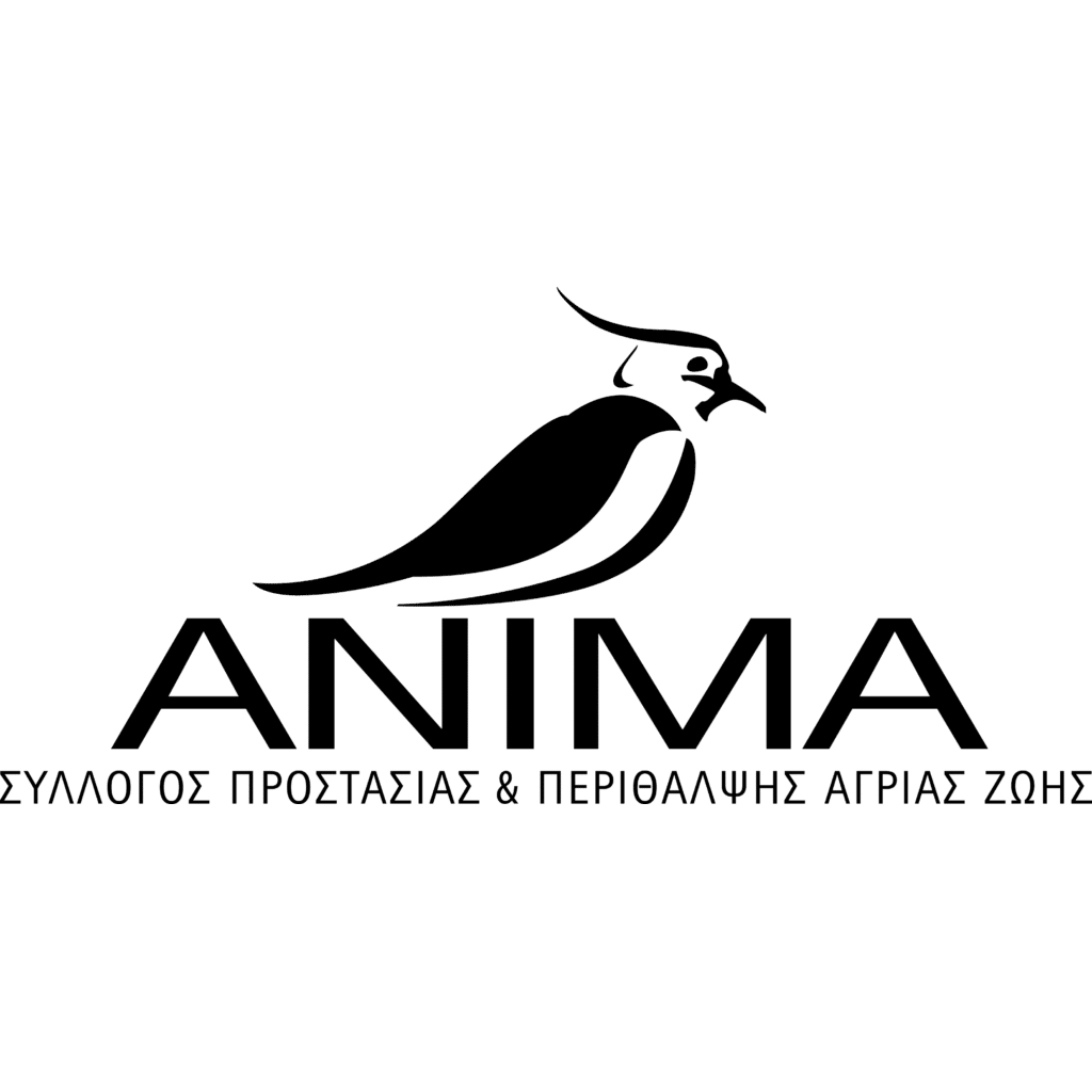 anima logo